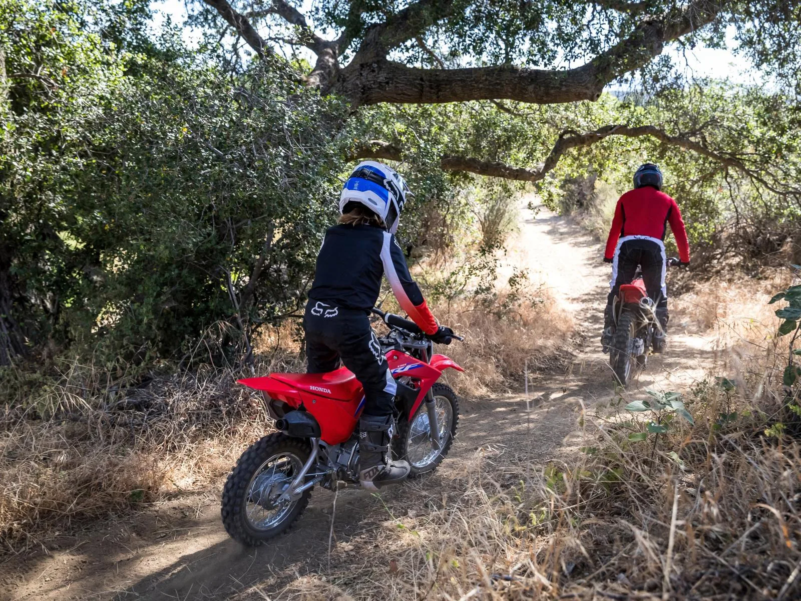 - AutoBike