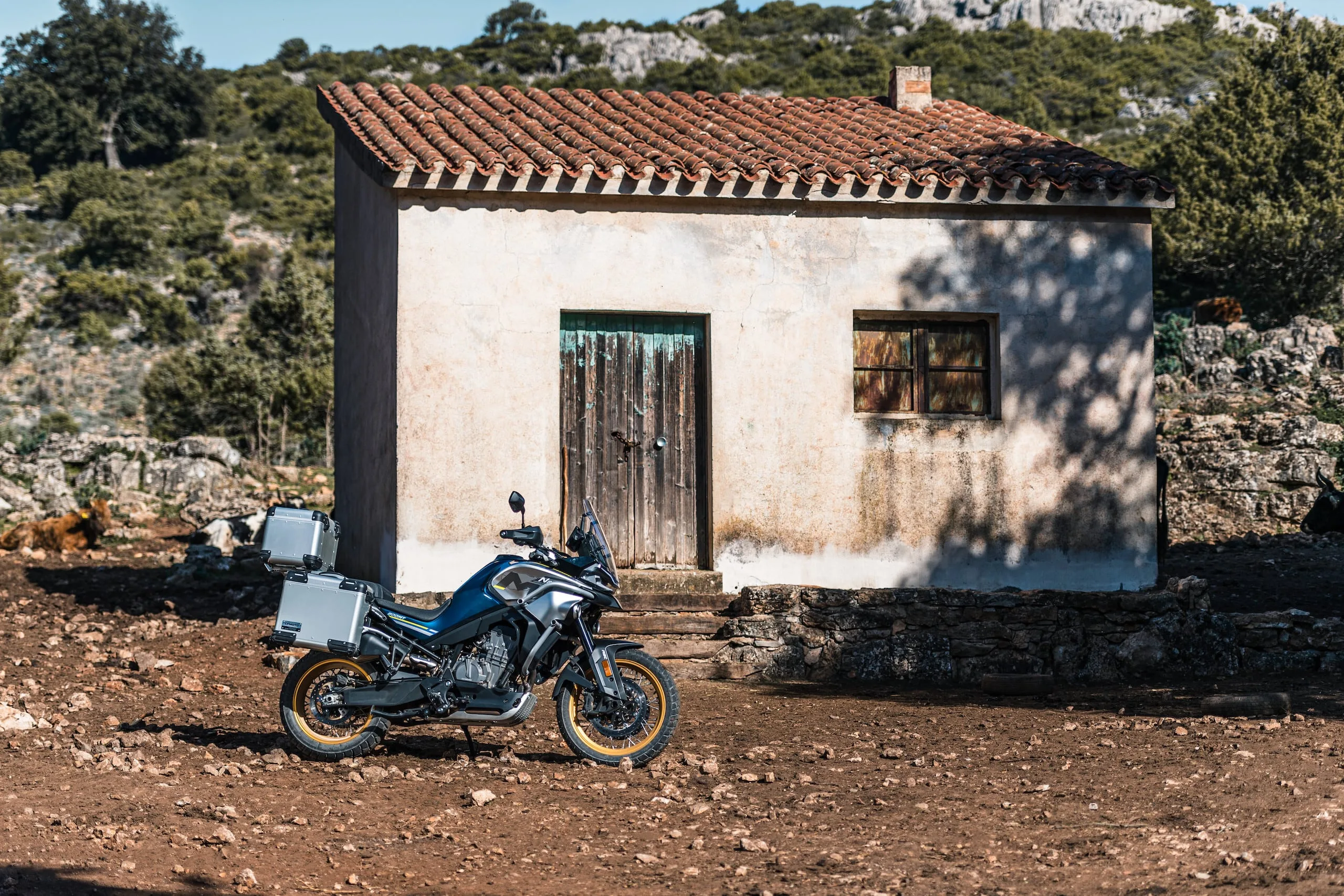 CFMOTO-800MT-Touring-moottoripyora-action-1 - AutoBike - AutoBike
