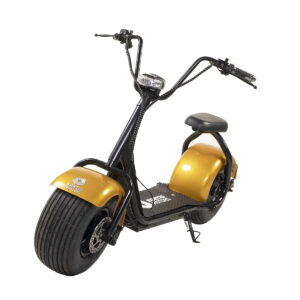 Kontio Motors Kruiser Gold 0,7kWh akulla