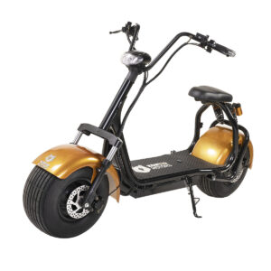 Kontio Motors Kruiser Premium Pack Gold 0,7kWh akulla